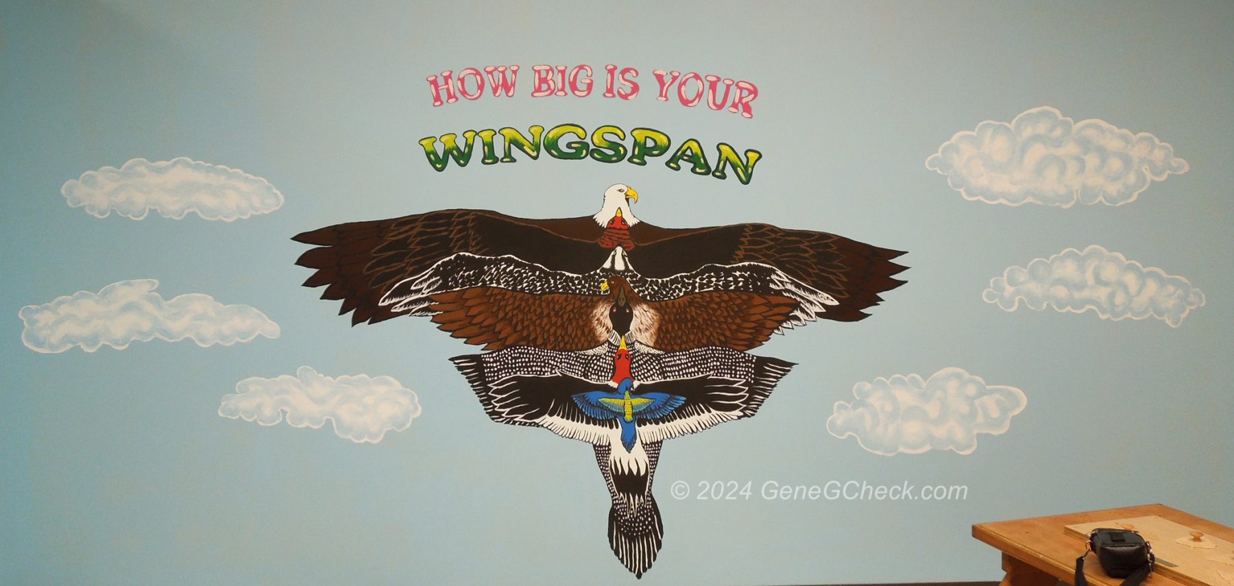how big is your wingspan gene g check com