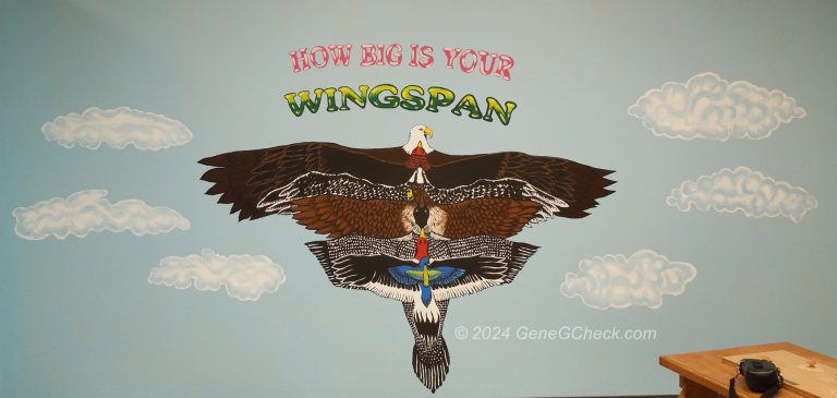 How Big Is Your Wingspan